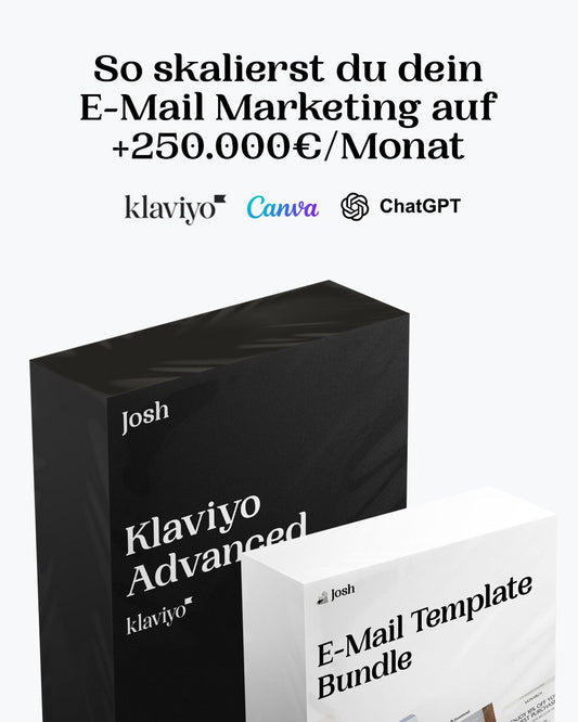 Klaviyo Advanced Kurs