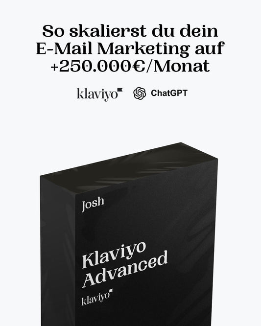 Klaviyo Advanced Kurs